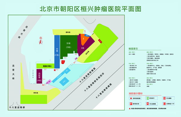 日逼视频网页北京市朝阳区桓兴肿瘤医院平面图